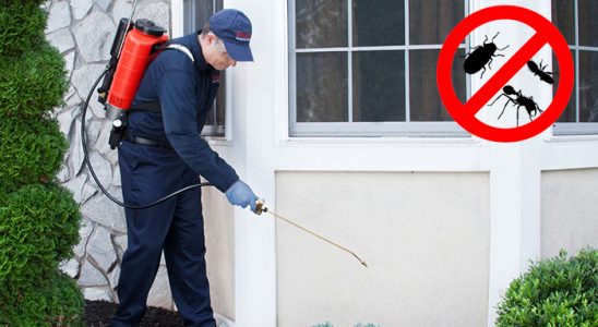 Konak Kemirgen İlaçlama böcek ilaçlama ve haşere kontrolü — ilaclama-tr.com